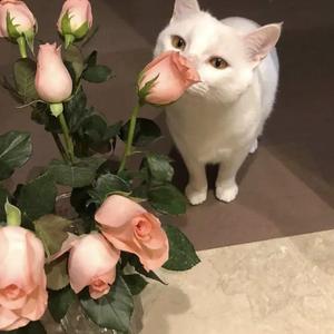 日韩美女裸体做爱动态
