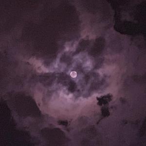 日韩美女裸体做爱动态
